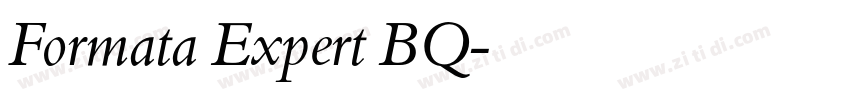 Formata Expert BQ字体转换 Formata Expert BQ字体转换